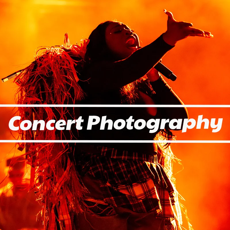 Concert Photography Page Image